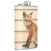 Flasques Trousse Red Fox dans la vallée de l'Hudson (Droite)