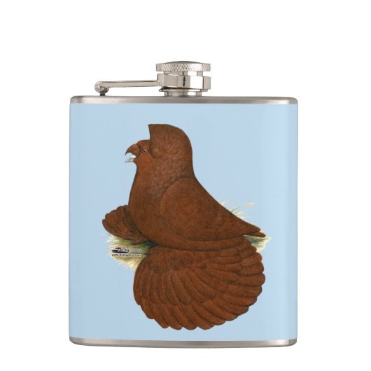 Flasques Trumpeter Pigeon rouge (Devant)