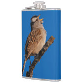 Flasques Un Bruant à tête blanche chante au soleil (Gauche)