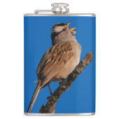 Flasques Un Bruant à tête blanche chante au soleil (Devant)