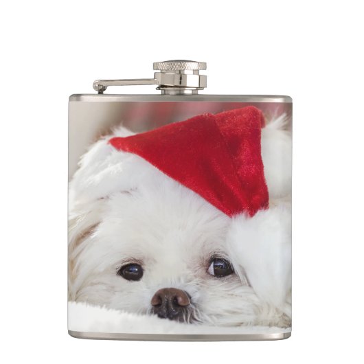 Flasques Un mignon chien blanc dans un Casquette de Noël ro (Devant)