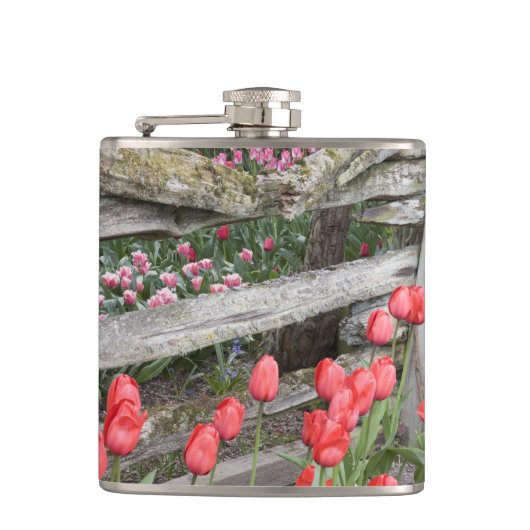 Flasques WA, Skagit Valley, Roozengaarde Tulip Garden, (Devant)