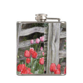 Flasques WA, Skagit Valley, Roozengaarde Tulip Garden, (Dos)