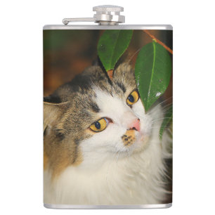 Flasques Whimsical Le Chat et la Camellia