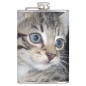 Flasques "Whiskers of Trouble : The Mischievous Tabby Kitte (Devant)