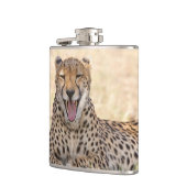 Flasques Yawning Cheetah (Gauche)