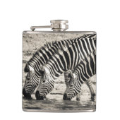 Flasques Zèbre (Devant)