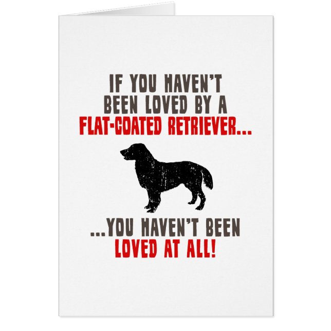 Flat-Coated Retriever (Voorkant)
