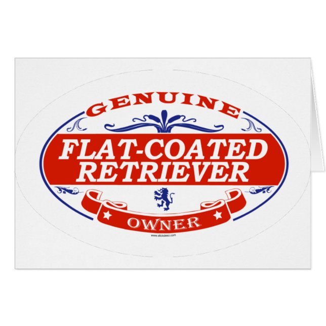 Flat-Coated Retriever  (Voorkant Horizontaal)