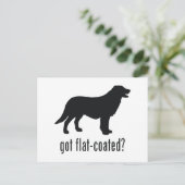 Flat-coated Retriever Briefkaart (Staand voorkant)