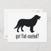 Flat-coated Retriever Briefkaart (Voorkant / Achterkant)