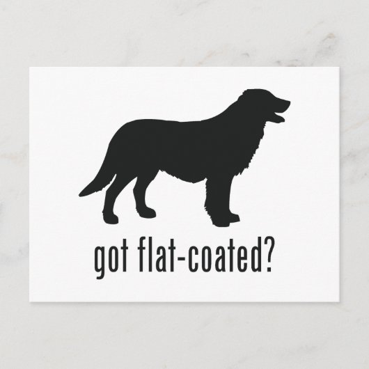 Flat-coated Retriever Briefkaart (Voorkant)