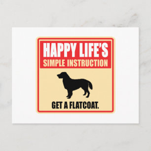 Flat-Coated Retriever Briefkaart