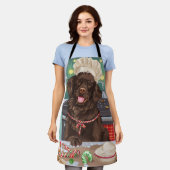 Flat-Coated Retriever Holiday Baking: Kerstmis Schort (Gedragen)