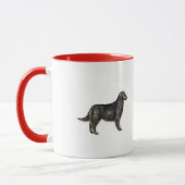 Flat-Coated Retriever Mok (Links)