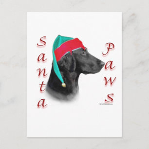 Flat Coated Retriever Sinterklaas Pootjes Feestdagenkaart