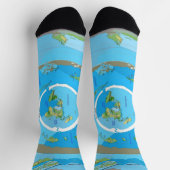 Flat Earth Map Socks - Unique Geographical Design Sokken (Top)