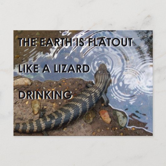 Flat Lizard Briefkaart - Flat Earth Meme (Voorkant)