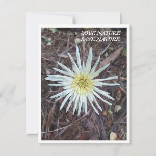 Flat Note Kaart met mooie natuur Notitiekaartje