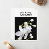 Flat Note Kaart - omgevingsgerelateerde aankondigi Notitiekaartje (Voorkant / Achterkant in situ)