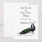 Flat Save The Date Kaart met Pauw Paar (Voorkant / Achterkant)