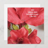 Flat Save the Date Wedding Amaryllis Rood (Voorkant / Achterkant)