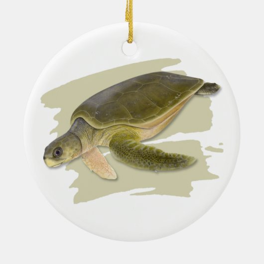Flatback Zee Turtle Ceramic Ornament (Achterkant)