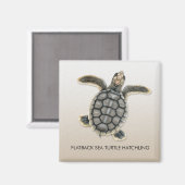 Flatback Zee Turtle Hatchling Magnet Magneet (Voorkant / Achterkant)