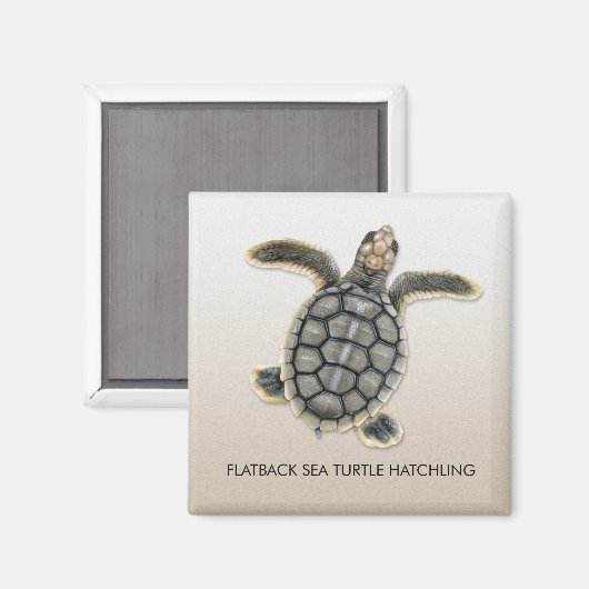 Flatback Zee Turtle Hatchling Magnet Magneet (Voorkant / Achterkant)