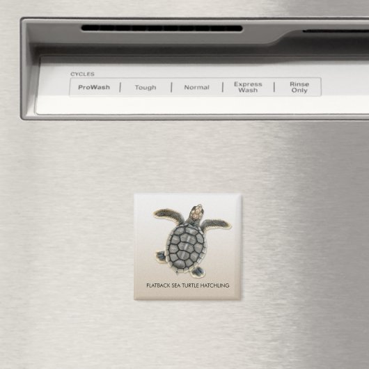 Flatback Zee Turtle Hatchling Magnet Magneet (Insitu (Vaatwasser))
