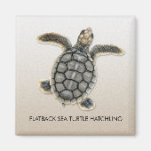 Flatback Zee Turtle Hatchling Magnet Magneet (Voorkant)
