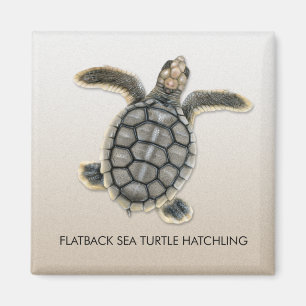 Flatback Zee Turtle Hatchling Magnet Magneet
