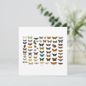 FLATCARD: BUTTERFLY-KARTJE (Staand voorkant)