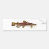 Flathead Catfish Bumpersticker (Voorkant)