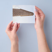 Flatiron building ansichtkaart flyer (Hand)