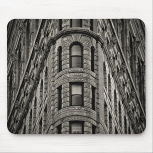 Flatiron Building Muismat