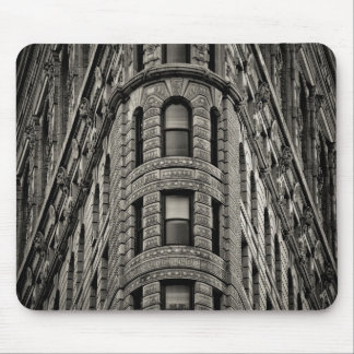 Flatiron Building Muismat