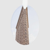 Flatiron building ornament (achterkant)