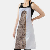 Flatiron building postcard schort (Insitu)