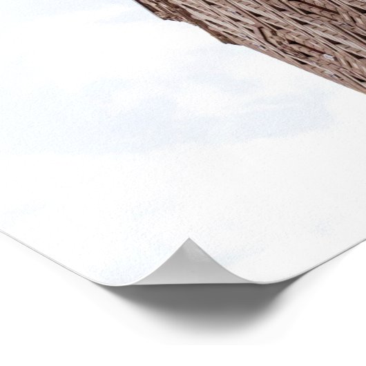 Flatiron Building Poster (Hoek)