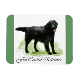 Flattegolven voor het maken van films magneet