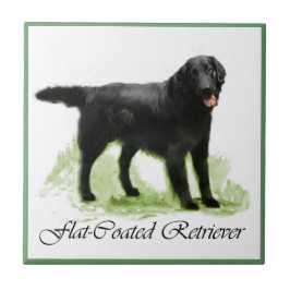 Flattegolven voor het maken van films tegeltje