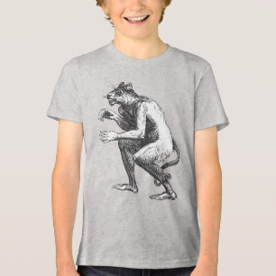 Flauros Humanoïde Luipaard Dictionairre Infernal Tri-Blend Shirt