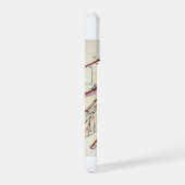 Flea Siphonaptera Insect Dorsal View 040924IREF224 (Côté droit)