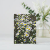 Fleabane Daisy Post Card Briefkaart (Staand voorkant)
