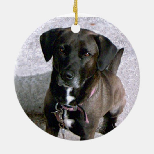 Fleas Navidad Pet Ornament (Achterkant)