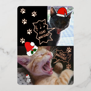 Fleas Navidad Singing Cats Kerstmis Wenskaart Folie Uitnodiging