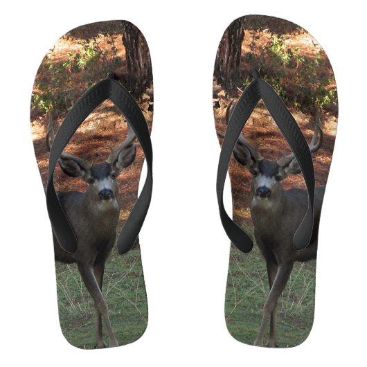 Flèches de tongs de Blacktail Buck (Semelle)