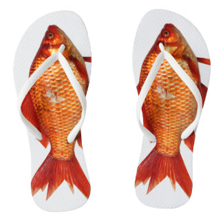 Flèches de tongs de poisson d'or