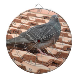 Fléchettes Cible de flechettes de pigeon sur le toit